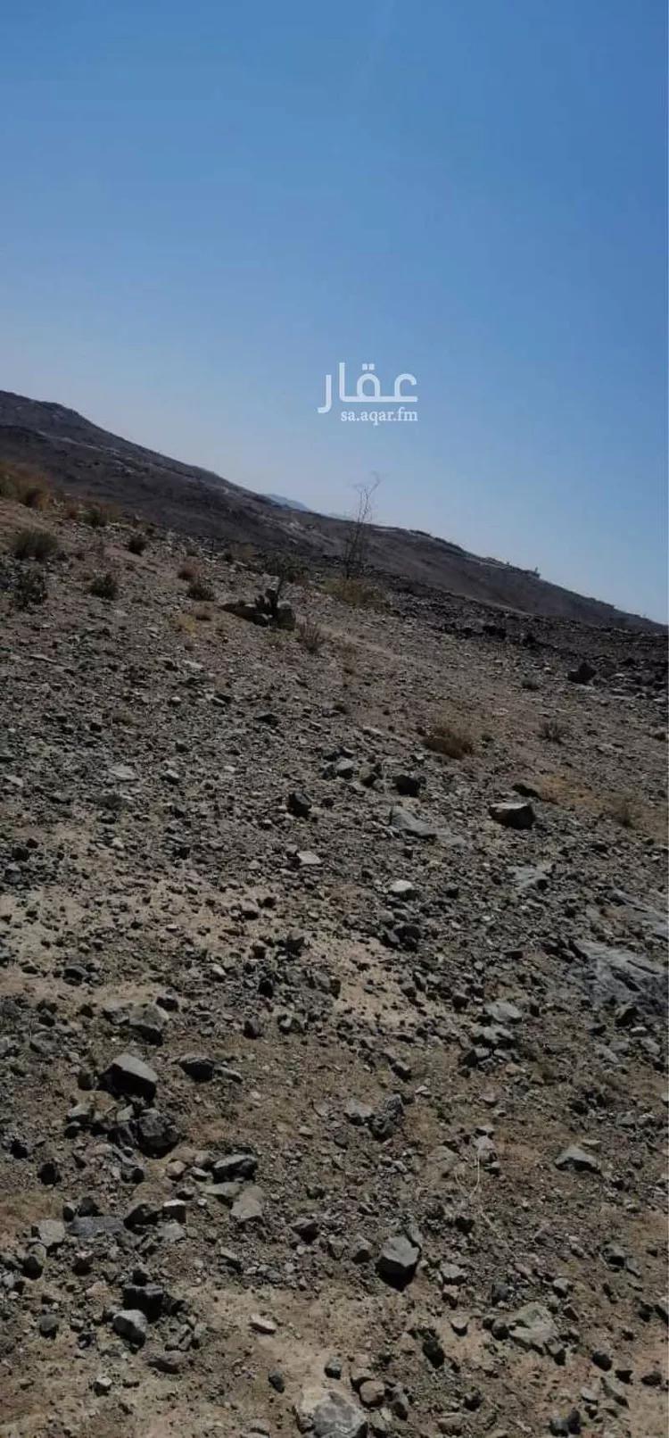 أرض للبيع في شارع لاري, حي الريان, مدينة صخوان, منطقة الباحة صورة 5