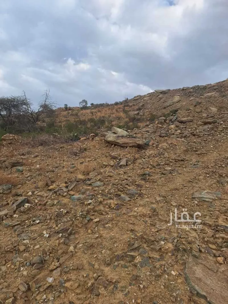 أرض للبيع في حي الرحاب, مدينة الباحة, منطقة الباحة صورة 3