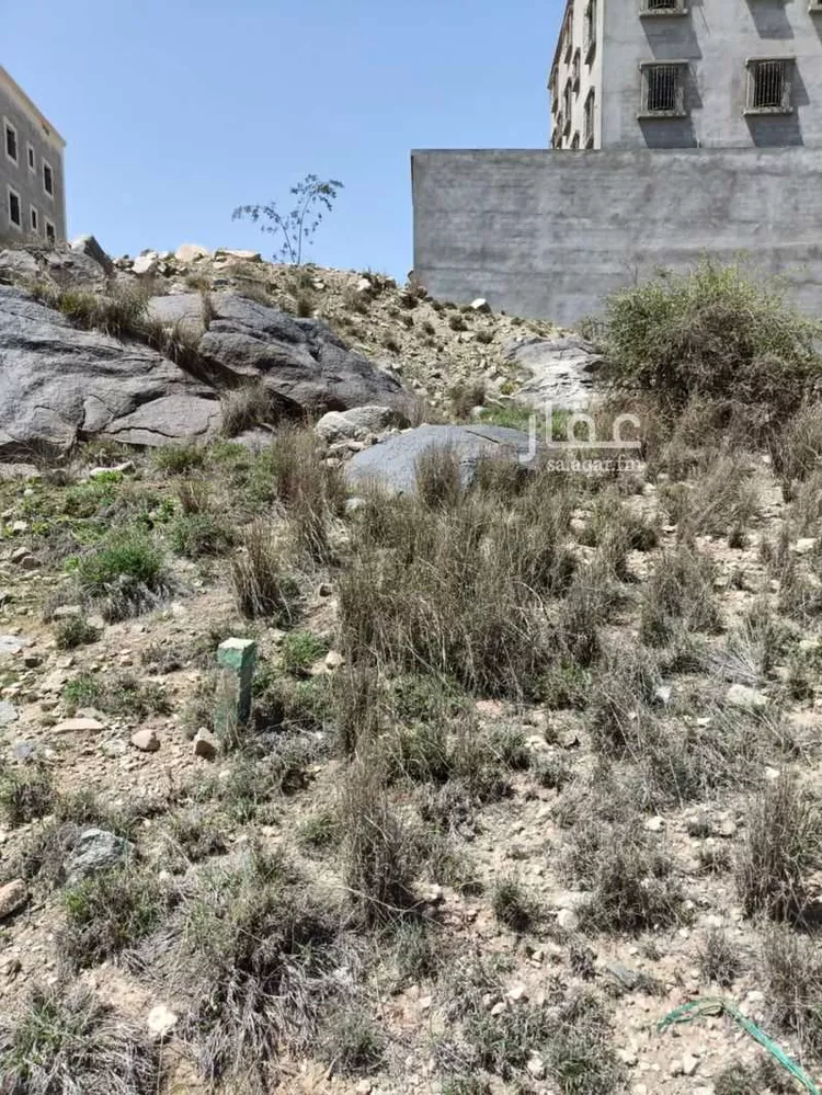 Land for Sale in Al Bahah Al Dhafyr صورة 4