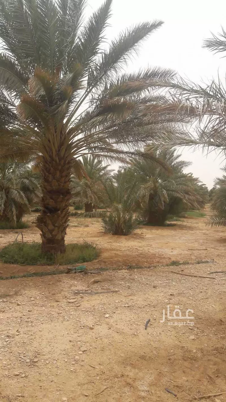 مزرعة للبيع في شارع عبدالله بن عبدالعزيز ، الخطامة ، المجمعة صورة 2