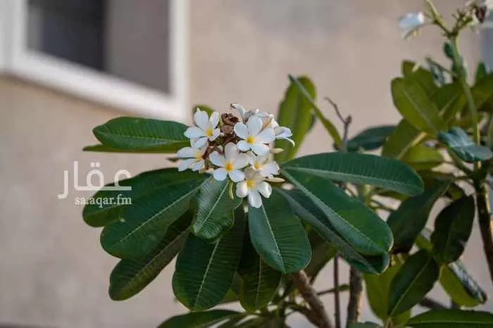 شقة للبيع في حي الخور, مدينة الخبر, المنطقة الشرقية 6