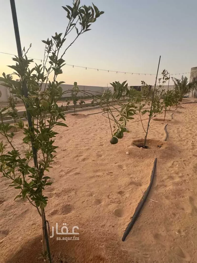 استراحة للبيع في شارع المليداء 900 ، المليداء ، بريدة 12