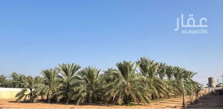 مزرعة للبيع في شارع ابن الشطوي ، حي الجلده ، عنيزة ، عنيزة صورة 5