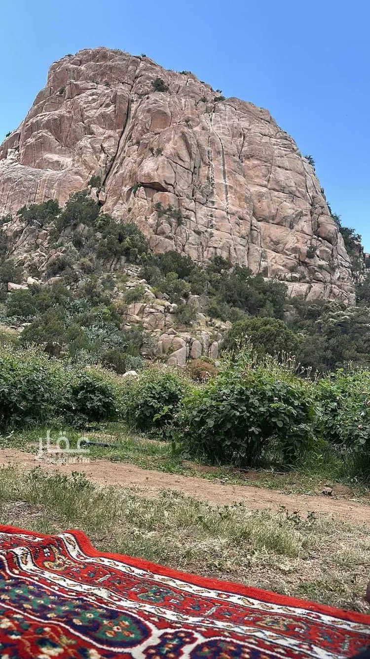 أرض للبيع في شارع الحرين 2 ، حرجل ، الطائف صورة 2