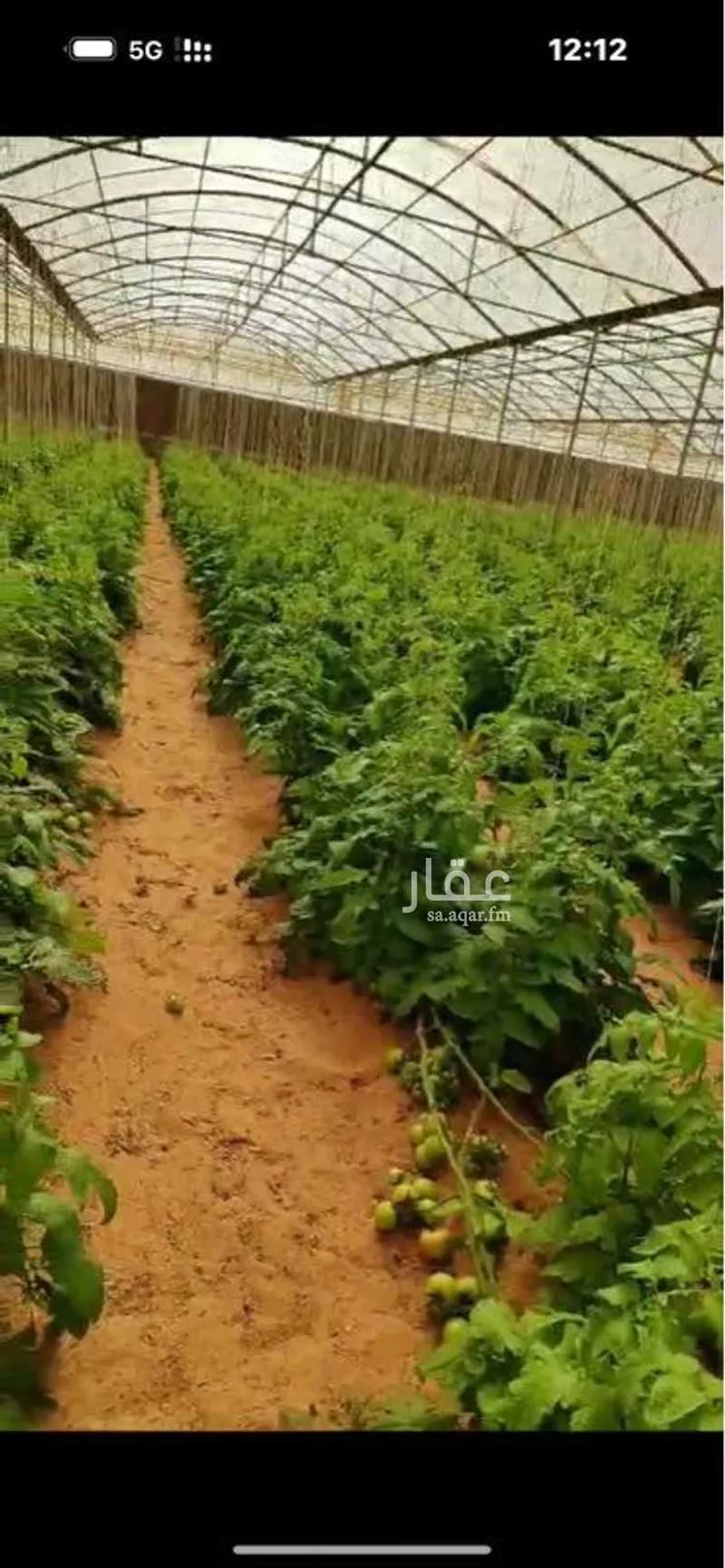 مزرعة للبيع في شارع 000000, حي خب القرو ومزارع, مدينة خب القرو ومزارع, منطقة الرياض صورة 2