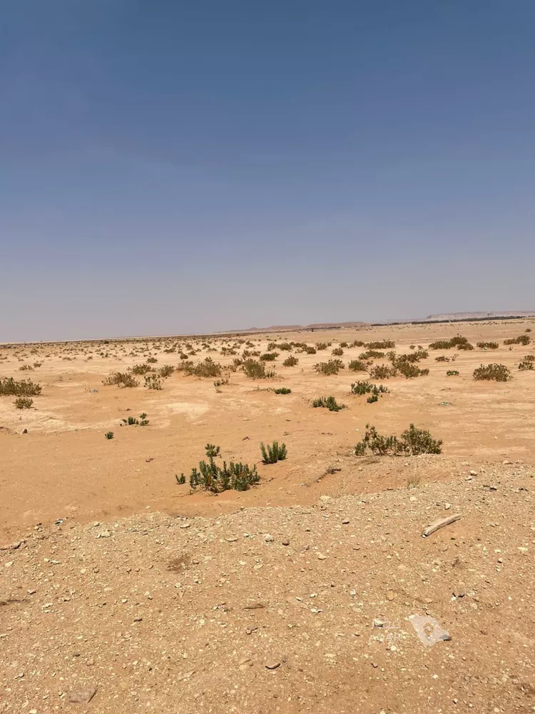 أرض للبيع في شارع الامير هذلول بن عبدالعزيز , حي مزارع قصر سعود (السحق), مدينة مزارع قصر سعود (السحق)