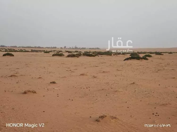 أرض للبيع في شارع 0000, حي مزارع الخويبيه, مدينة مزارع الخويبيه, منطقة الرياض صورة 4