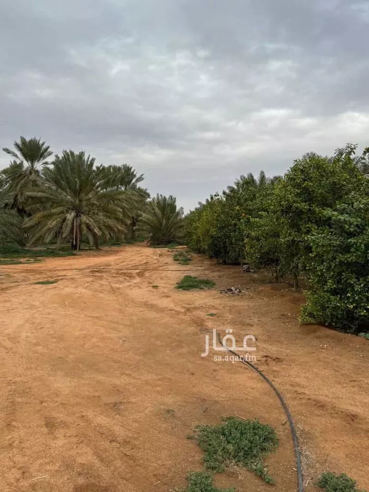 مزرعة للبيع في حي مزارع المليداء الشماليه, مدينة عيون الجواء, منطقة القصيم صورة 2