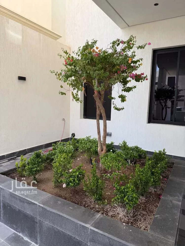 شقة للإيجار في شارع 2488633, حي الشراع, مدينة جدة, منطقة مكة المكرمة صورة 2