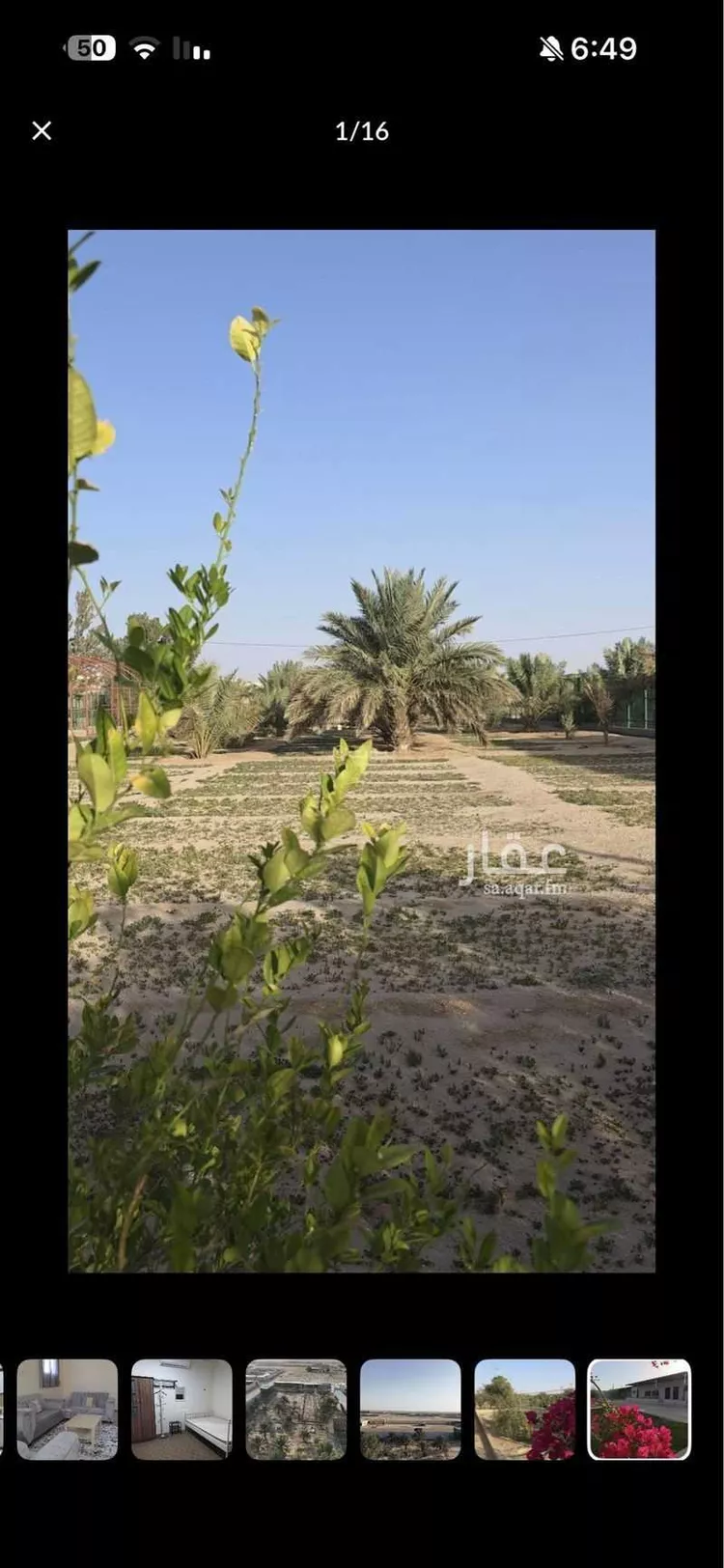 مزرعة للبيع في مدينة العقيلة ومزارعها, منطقة القصيم صورة 3