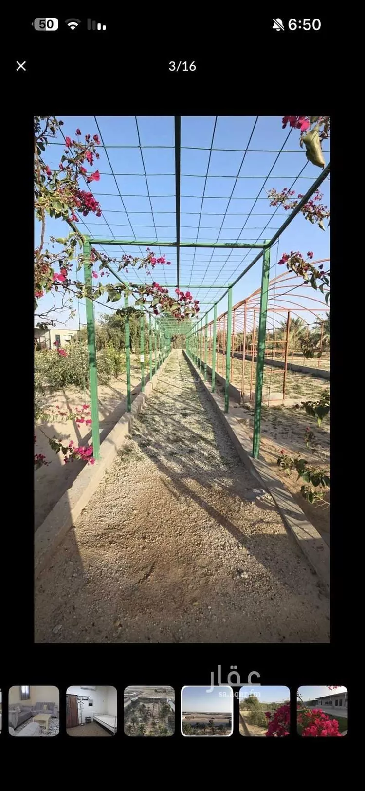 مزرعة للبيع في مدينة العقيلة ومزارعها, منطقة القصيم صورة 2