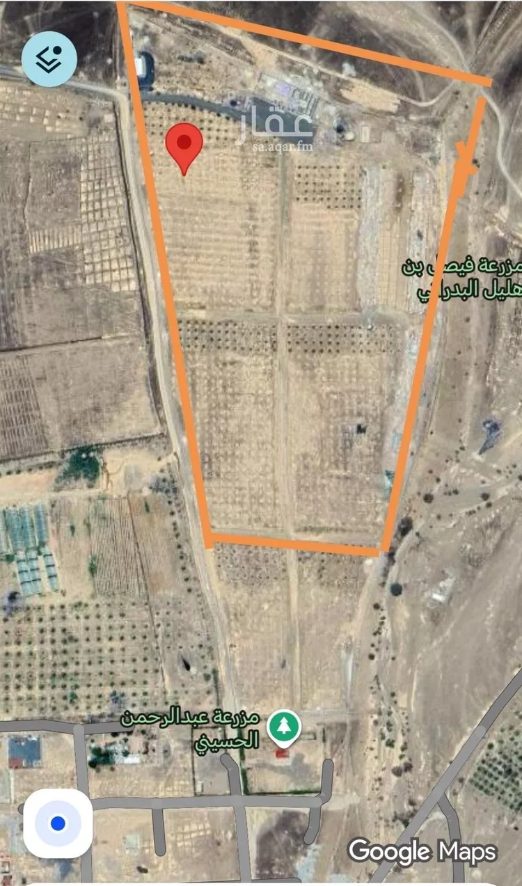 مزرعة للبيع في شارع 736, حي الصهوة, مدينة المدينة المنورة, منطقة المدينة المنورة