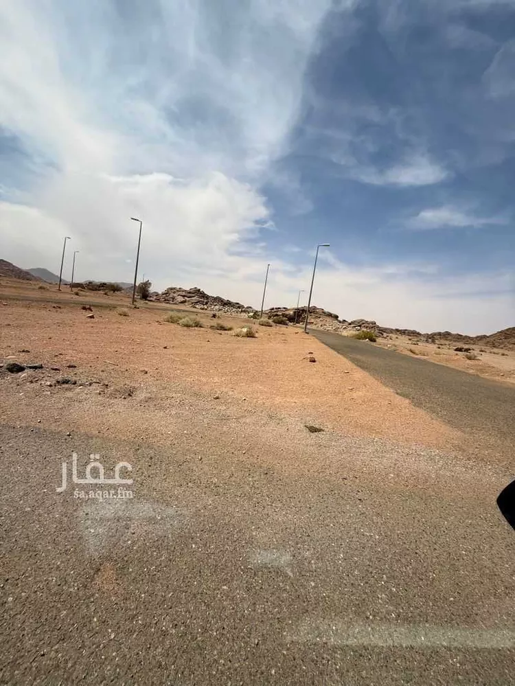 أرض للبيع في شارع 22871169, حي اللقيطه, مدينة حائل, منطقة حائل صورة 5