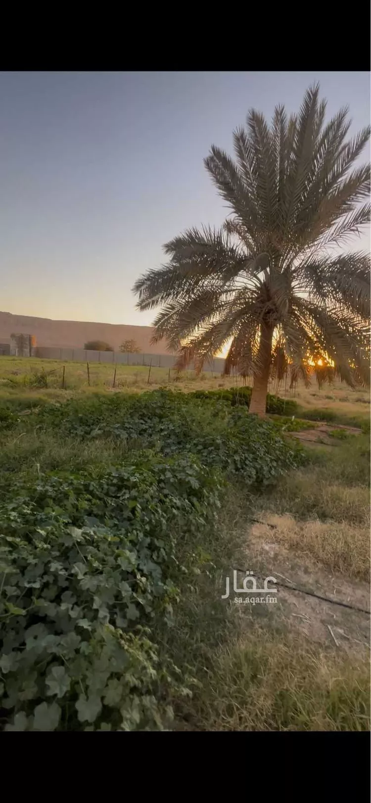 استراحة للبيع في شارع حكيم ابن حزام, حي نوارة, مدينة المزاحمية, منطقة الرياض صورة 2
