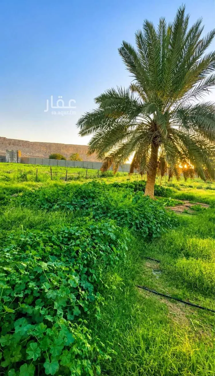 استراحة للبيع في شارع حكيم ابن حزام, حي نوارة, مدينة المزاحمية, منطقة الرياض