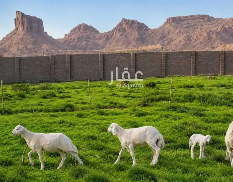 استراحة للبيع في شارع حكيم ابن حزام, حي نوارة, مدينة المزاحمية, منطقة الرياض صورة 4