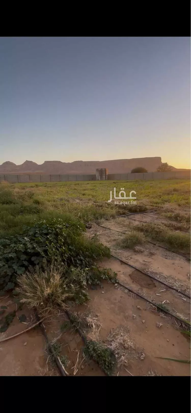 استراحة للبيع في شارع حكيم ابن حزام, حي نوارة, مدينة المزاحمية, منطقة الرياض صورة 5