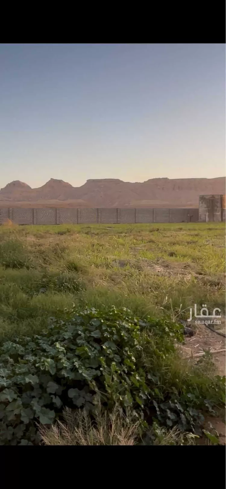 استراحة للبيع في شارع حكيم ابن حزام, حي نوارة, مدينة المزاحمية, منطقة الرياض صورة 4