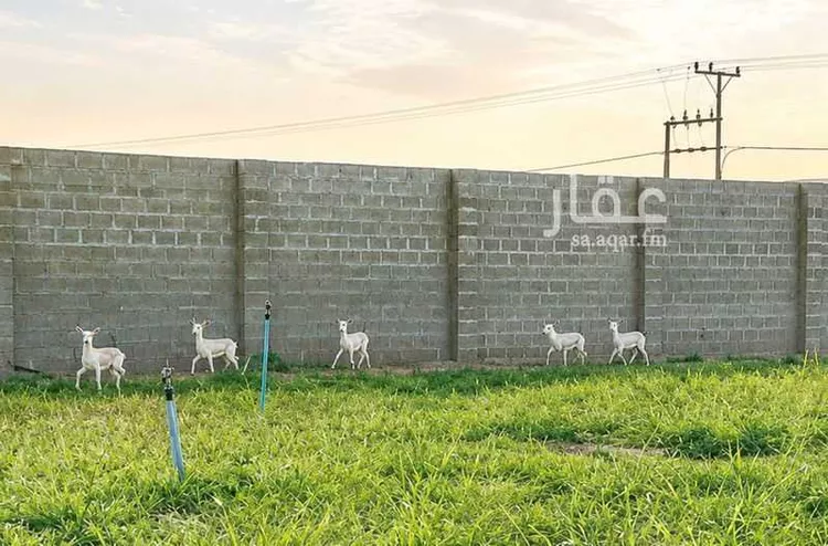 استراحة للبيع في شارع حكيم ابن حزام, حي نوارة, مدينة المزاحمية, منطقة الرياض 1 صورة