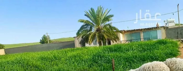 استراحة للبيع في شارع حكيم ابن حزام, حي نوارة, مدينة المزاحمية, منطقة الرياض صورة 5