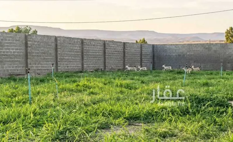 استراحة للبيع في شارع حكيم ابن حزام, حي نوارة, مدينة المزاحمية, منطقة الرياض صورة 3