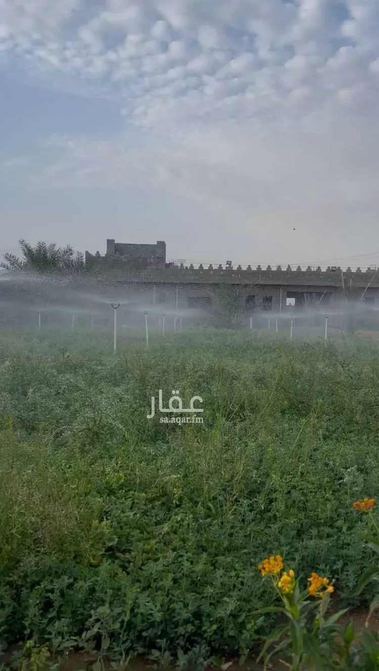 مزرعة للبيع في الحزم ، الدلم صورة 2