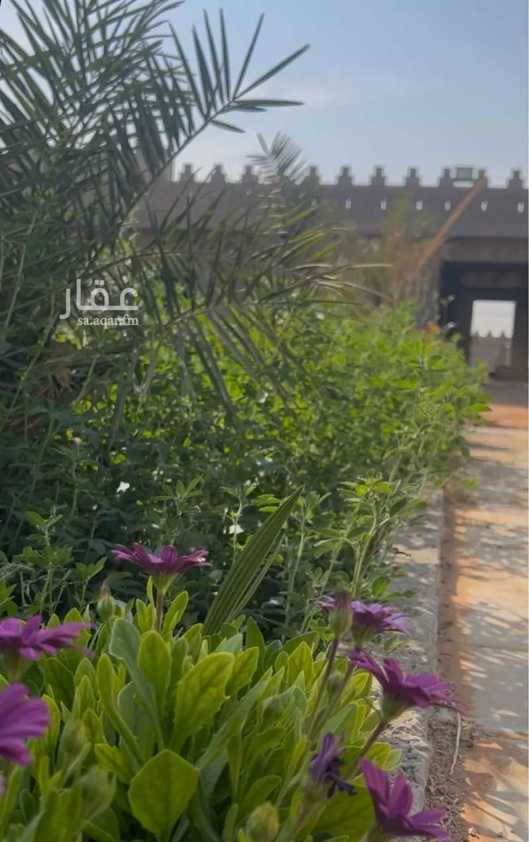 مزرعة للبيع في الحزم ، الدلم صورة 4