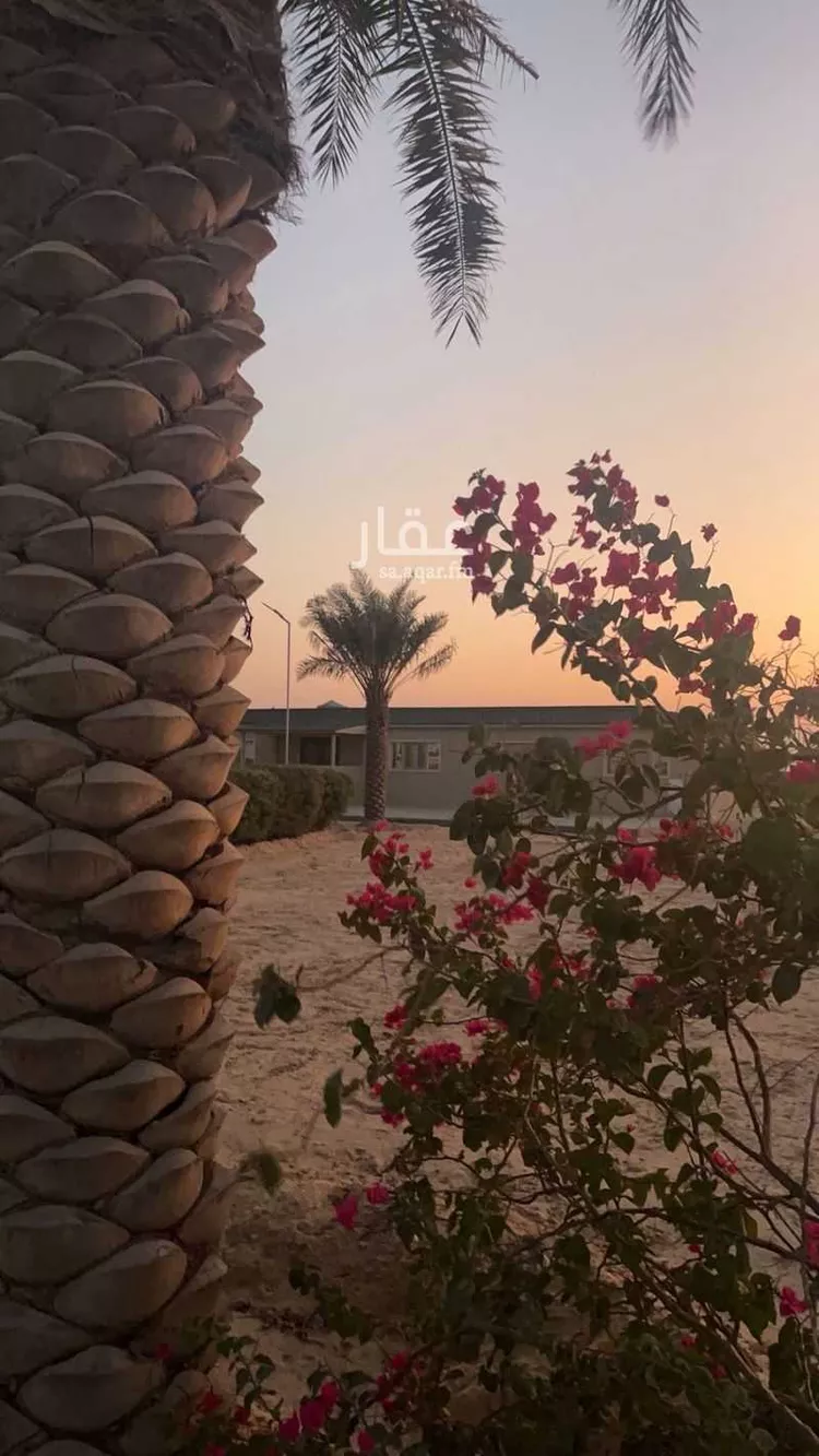 مزرعة للبيع في شارع علي ابن ابي طالب, حي صلاصل, مدينة بقيق, المنطقة الشرقية 8