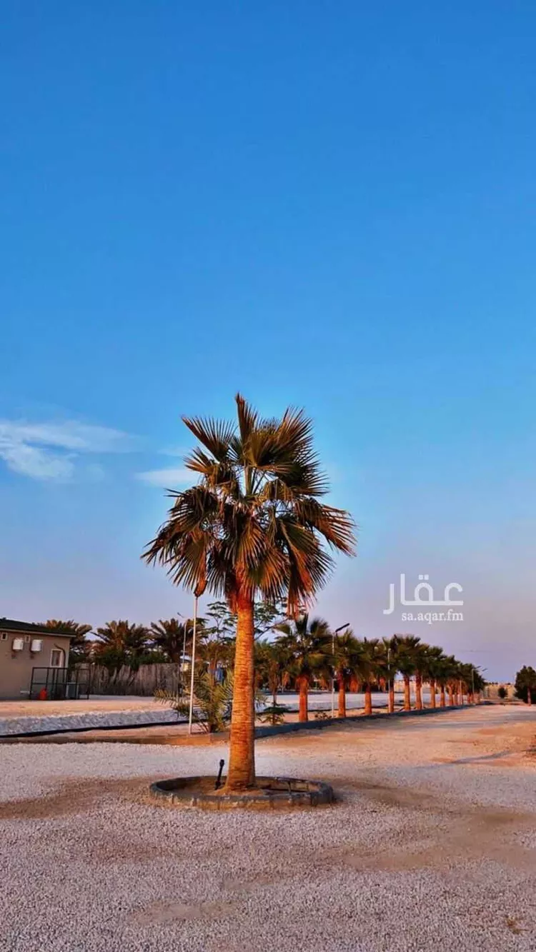 مزرعة للبيع في شارع علي ابن ابي طالب, حي صلاصل, مدينة بقيق, المنطقة الشرقية 6
