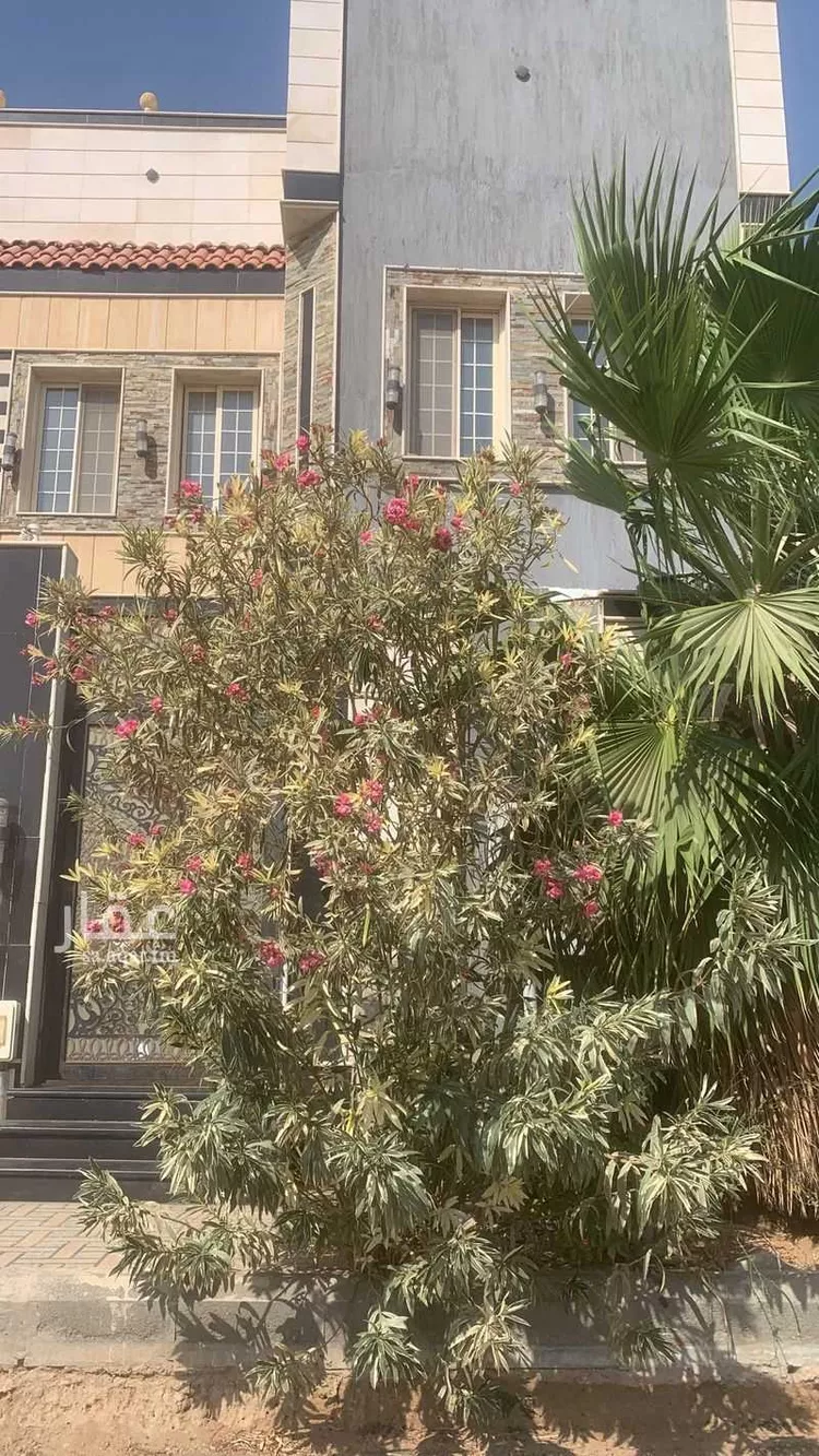 دور للإيجار في شارع الرجال الاسدي ، الصالحية ، جدة ، جدة