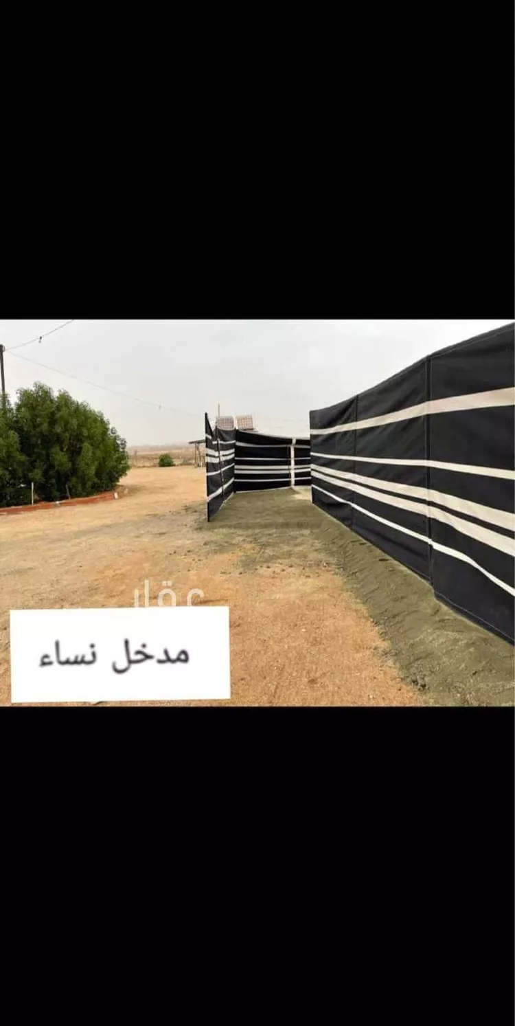 مخيم للإيجار في حي الرياض ، جدة ، جدة صورة 5