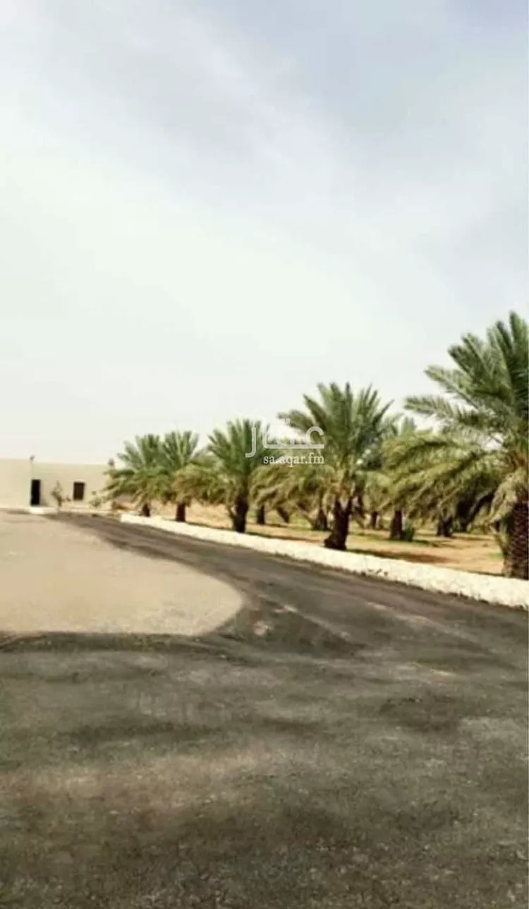 مزرعة للبيع في شارع جلاجل 21, مدينة جلاجل, منطقة الرياض صورة 3