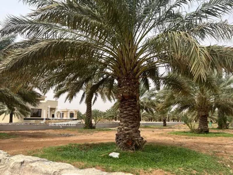 مزرعة للبيع في شارع جلاجل 21, مدينة جلاجل, منطقة الرياض صورة 5