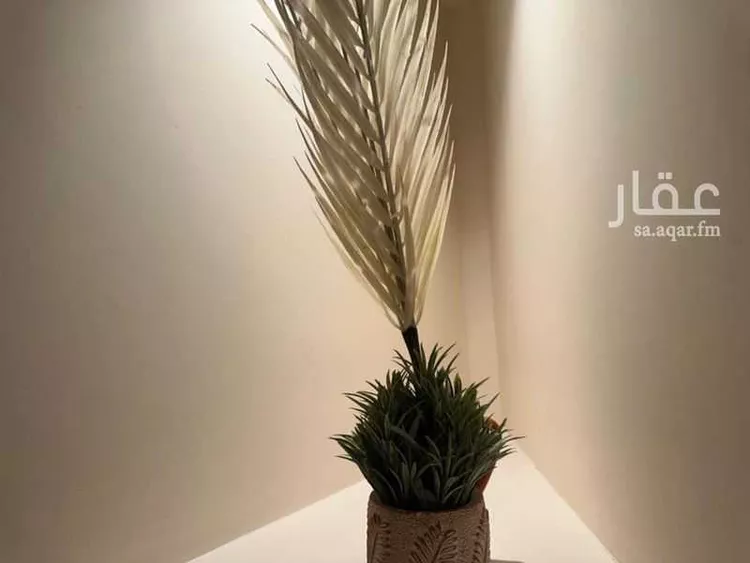 شقة مفروشة للحجز في شارع الأحمدي ، حي التعاون ، الرياض ، منطقة الرياض صورة 3