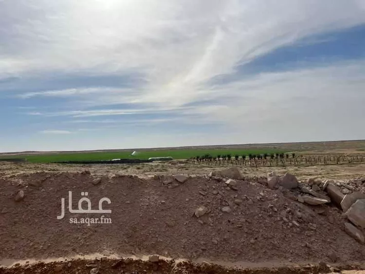 مزرعة للبيع في النظيم بعنز ، الدوادمي صورة 4