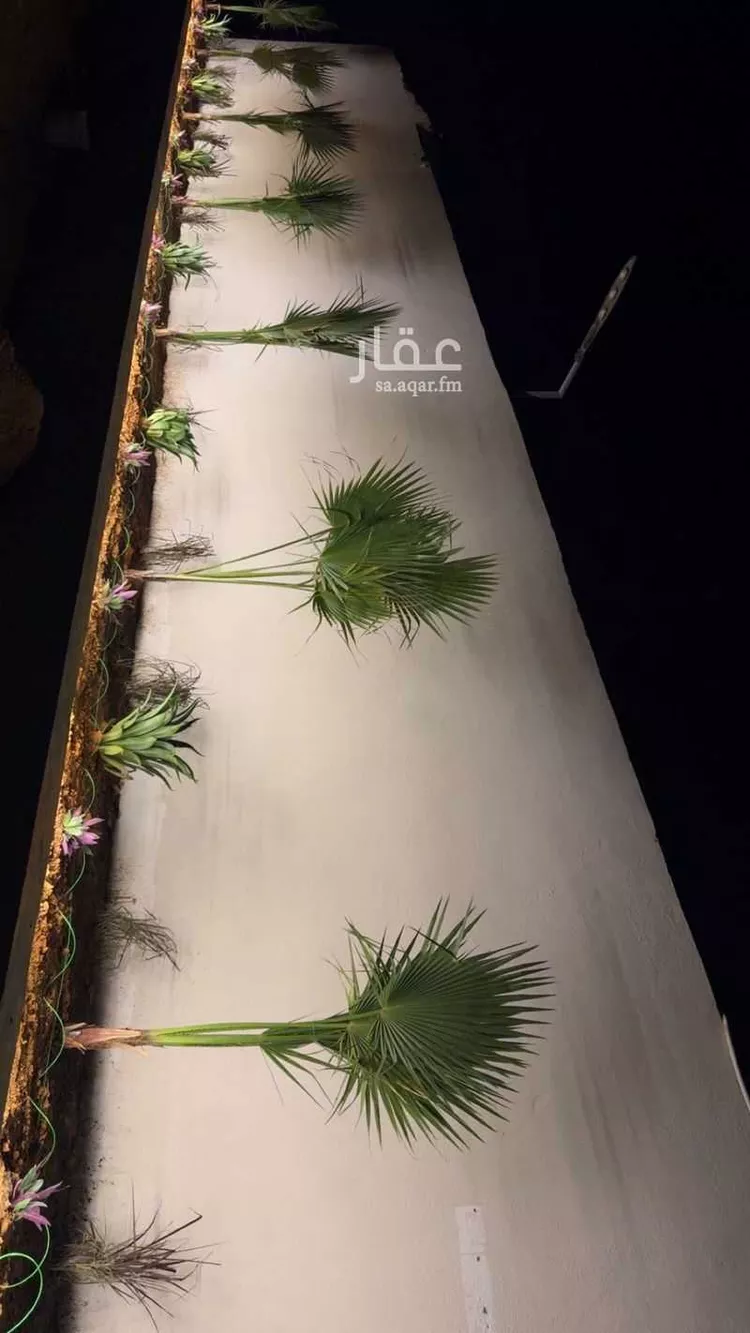 استراحة للإيجار في شارع 5065275, حي الخير, مدينة الرياض, منطقة الرياض صورة 3