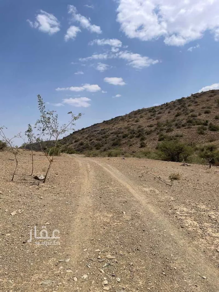 أرض للبيع في شارع بني كبير , حي السروات, مدينة الباحة, منطقة الباحة صورة 2