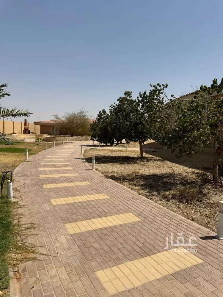 مزرعة للإيجار في شارع العماريه 436, حي مشروع مخطط استراحات, مدينة مشروع مخطط استراحات, منطقة الرياض 23