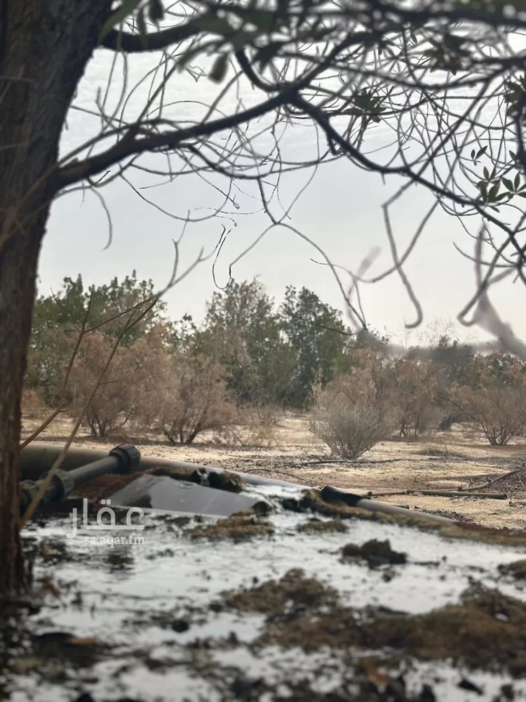 أرض للإيجار في شارع 0000, مدينة الجبيل, المنطقة الشرقية