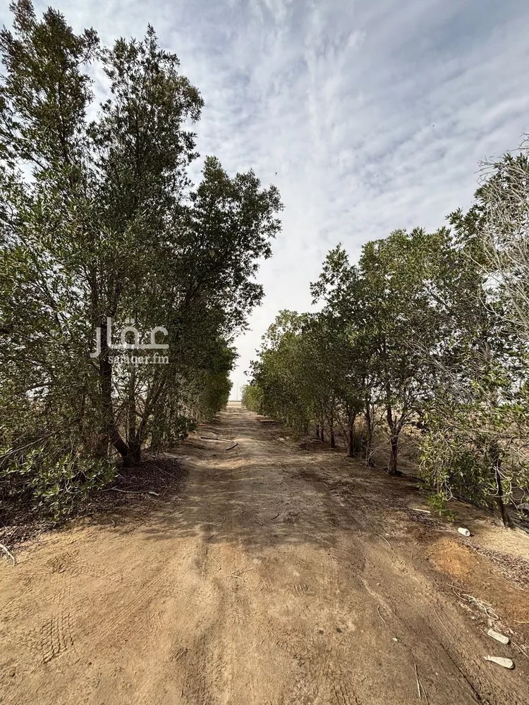 أرض للإيجار في شارع 0000, مدينة الجبيل, المنطقة الشرقية صورة 5