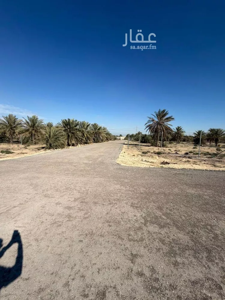 أرض للبيع في حي مزارع الجعيمه, مدينة مزارع الجعيمه, المنطقة الشرقية صورة 3