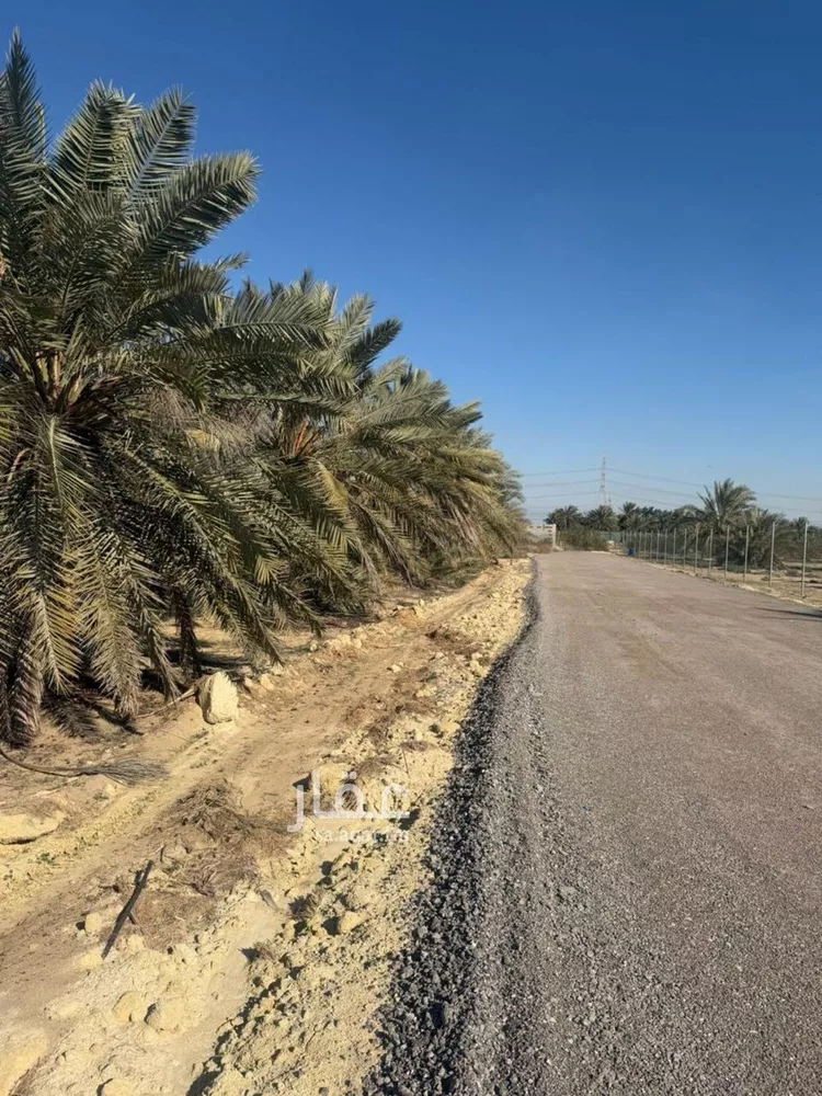 أرض للبيع في حي مزارع الجعيمه, مدينة مزارع الجعيمه, المنطقة الشرقية صورة 4