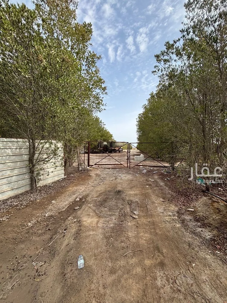 أرض للإيجار في شارع 0000, مدينة الجبيل, المنطقة الشرقية صورة 4