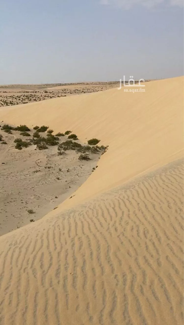 أرض للبيع في مدينة العيون, المنطقة الشرقية صورة 3