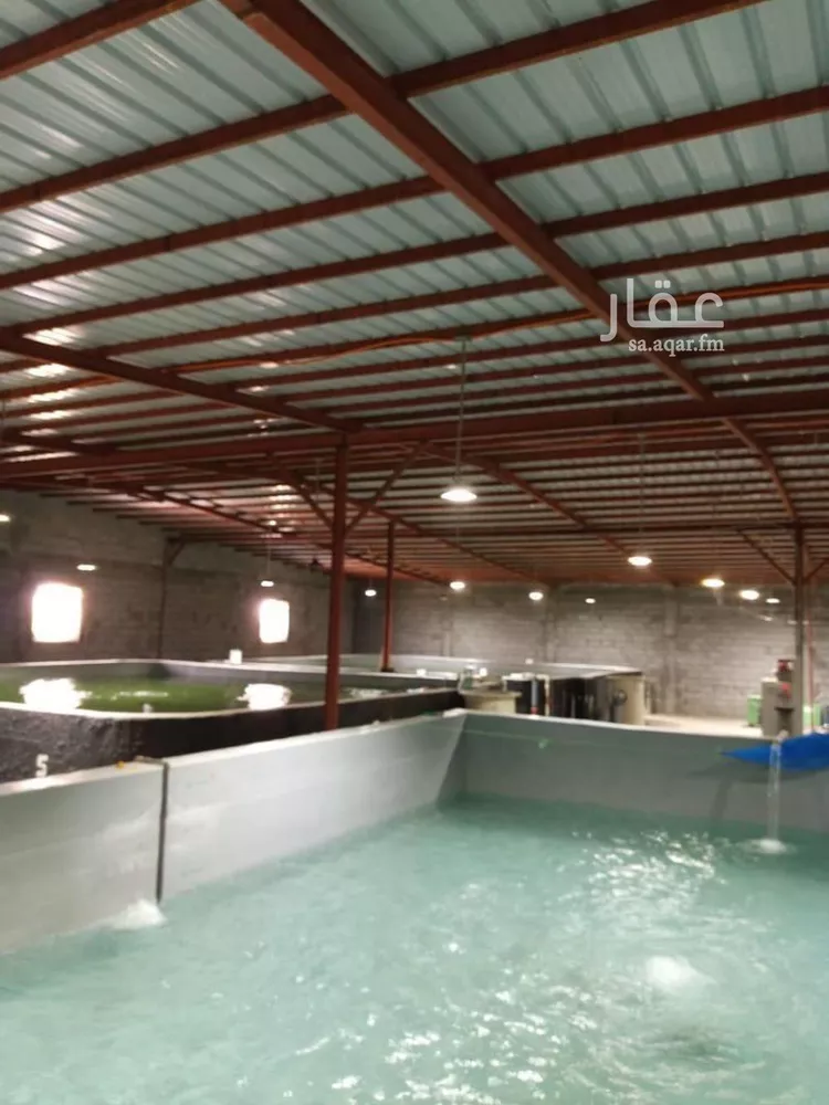 أرض للإيجار في حي صلاصل, مدينة بقيق, المنطقة الشرقية صورة 4