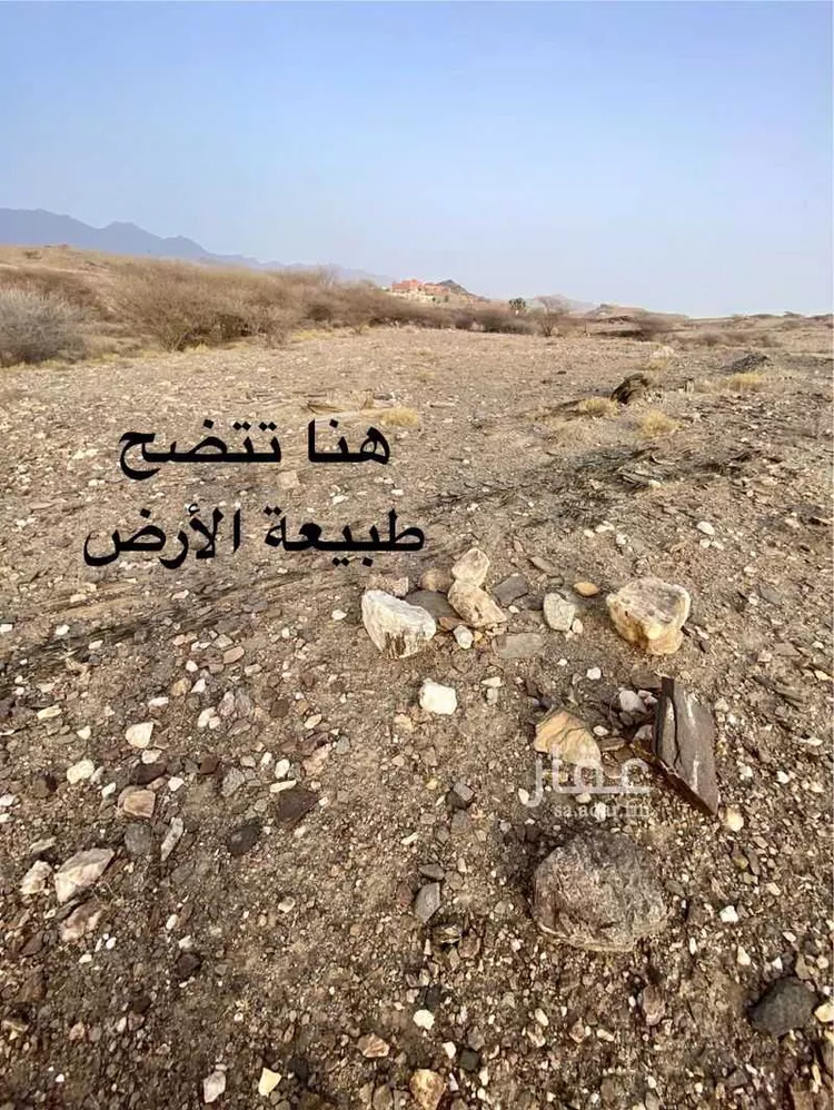 أرض للبيع في حي لصوب, مدينة لصوب, منطقة عسير صورة 2
