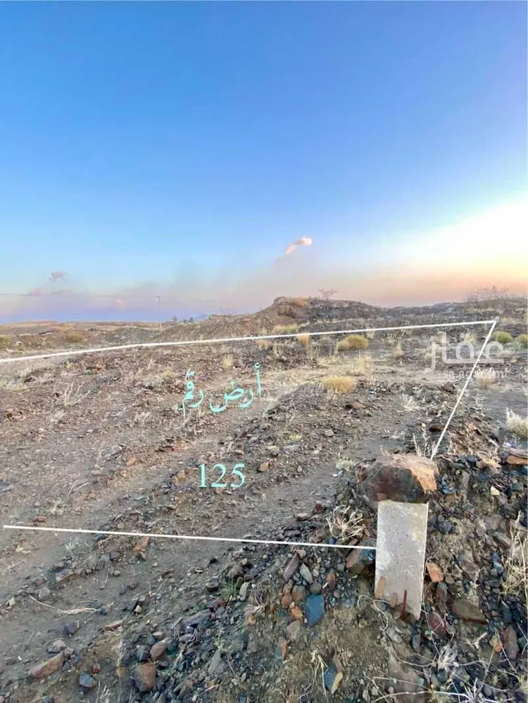 أرض للبيع في مدينة أبها, منطقة عسير صورة 2