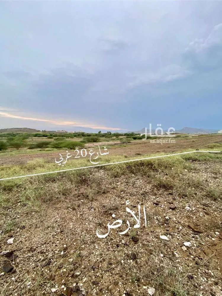 أرض للبيع في حي لصوب, مدينة لصوب, منطقة عسير صورة 4