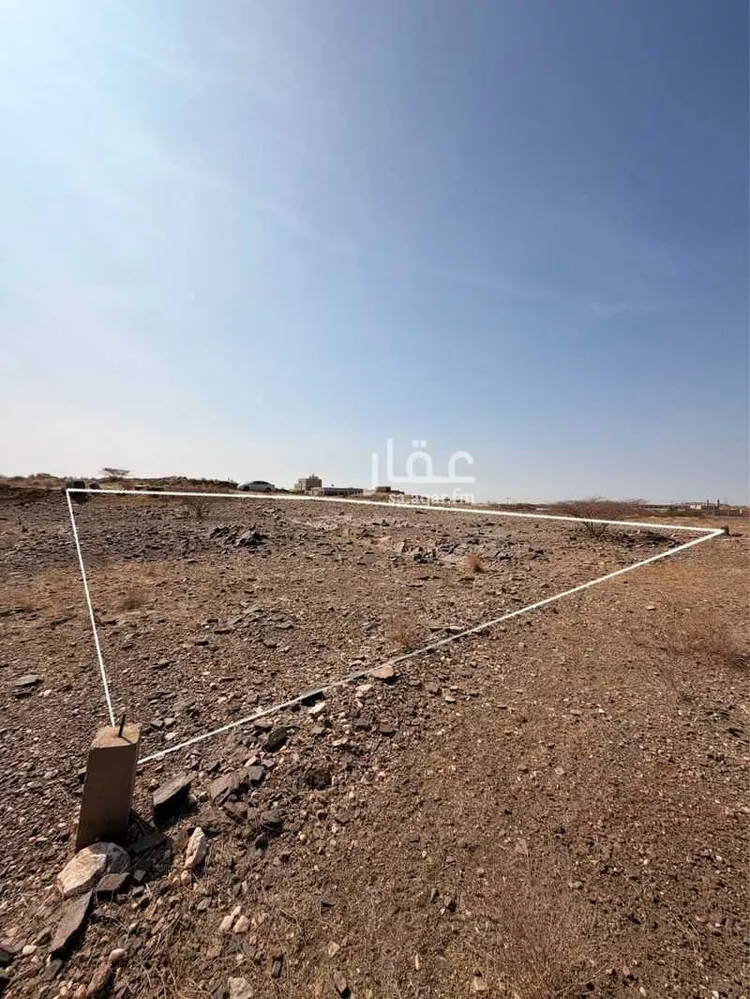 أرض للبيع في حي لصوب, مدينة لصوب, منطقة عسير صورة 3