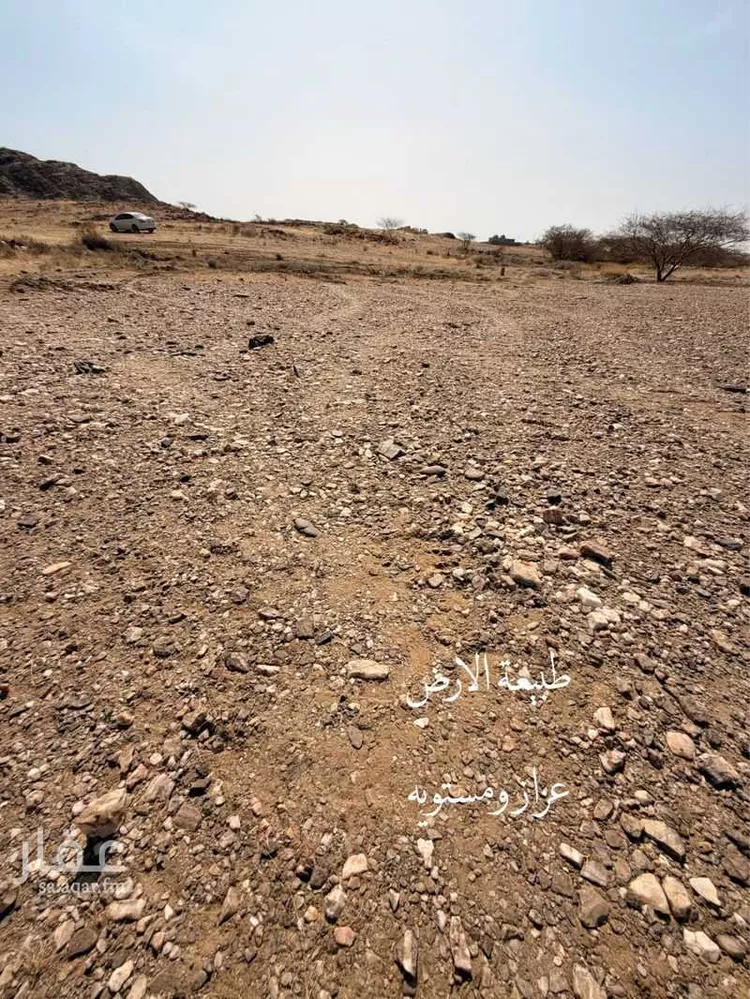 أرض للبيع في حي لصوب, مدينة لصوب, منطقة عسير صورة 2